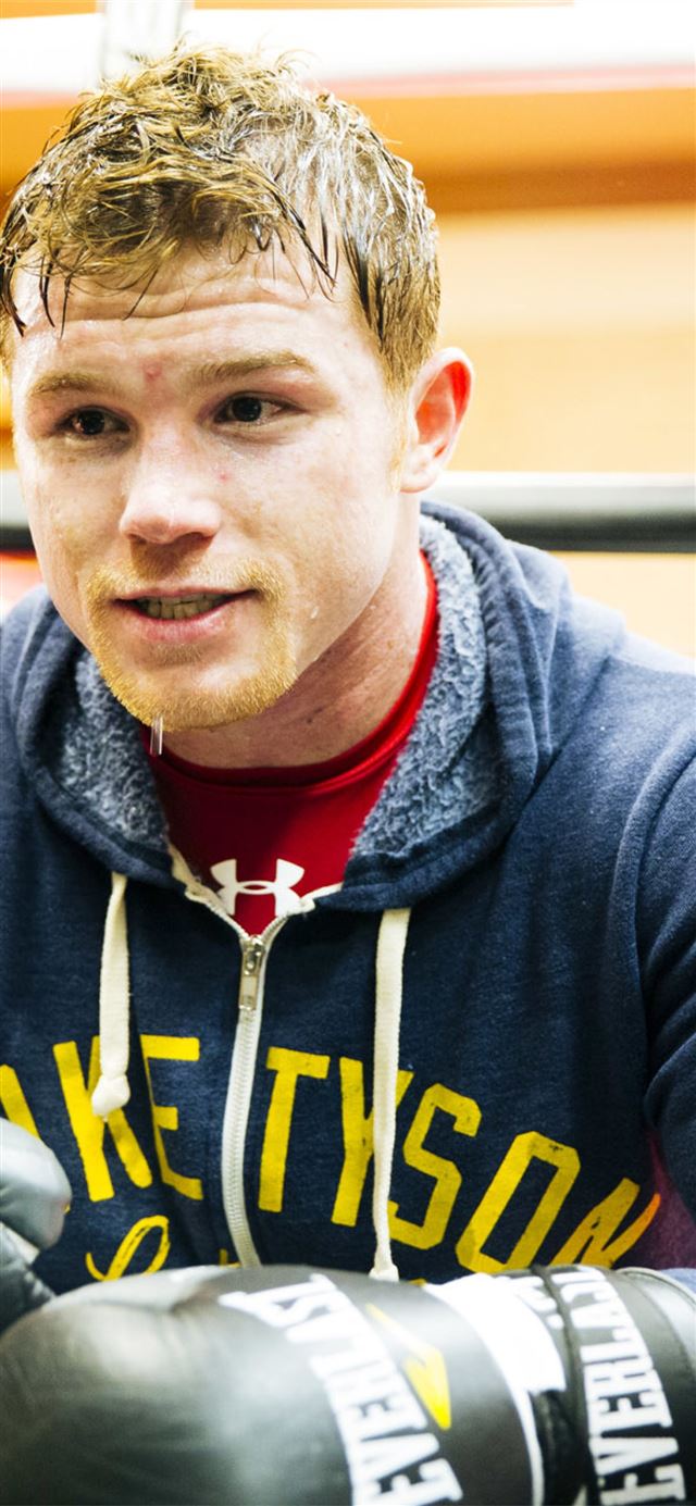 1125x2436 saul alvarez boxer wbc Samsung Galaxy Note 9 8 S9 ... - mexico iPhone 11 Wallpaper