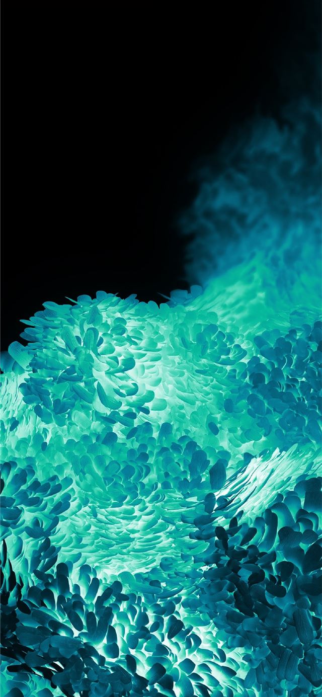 1125x2436 Samsung Galaxy S20 Use18 2190000065 - soccer celebrity iPhone 11 Wallpaper