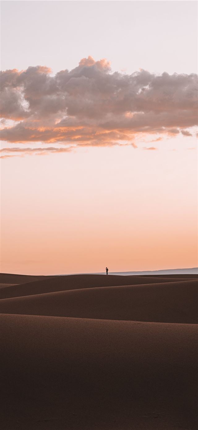 1125x2436 silhouette of person standing on desert -  iPhone 11 Wallpaper