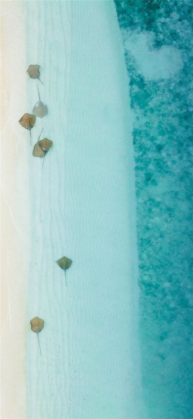 1125x2436 body of water - water iPhone 11 Wallpaper