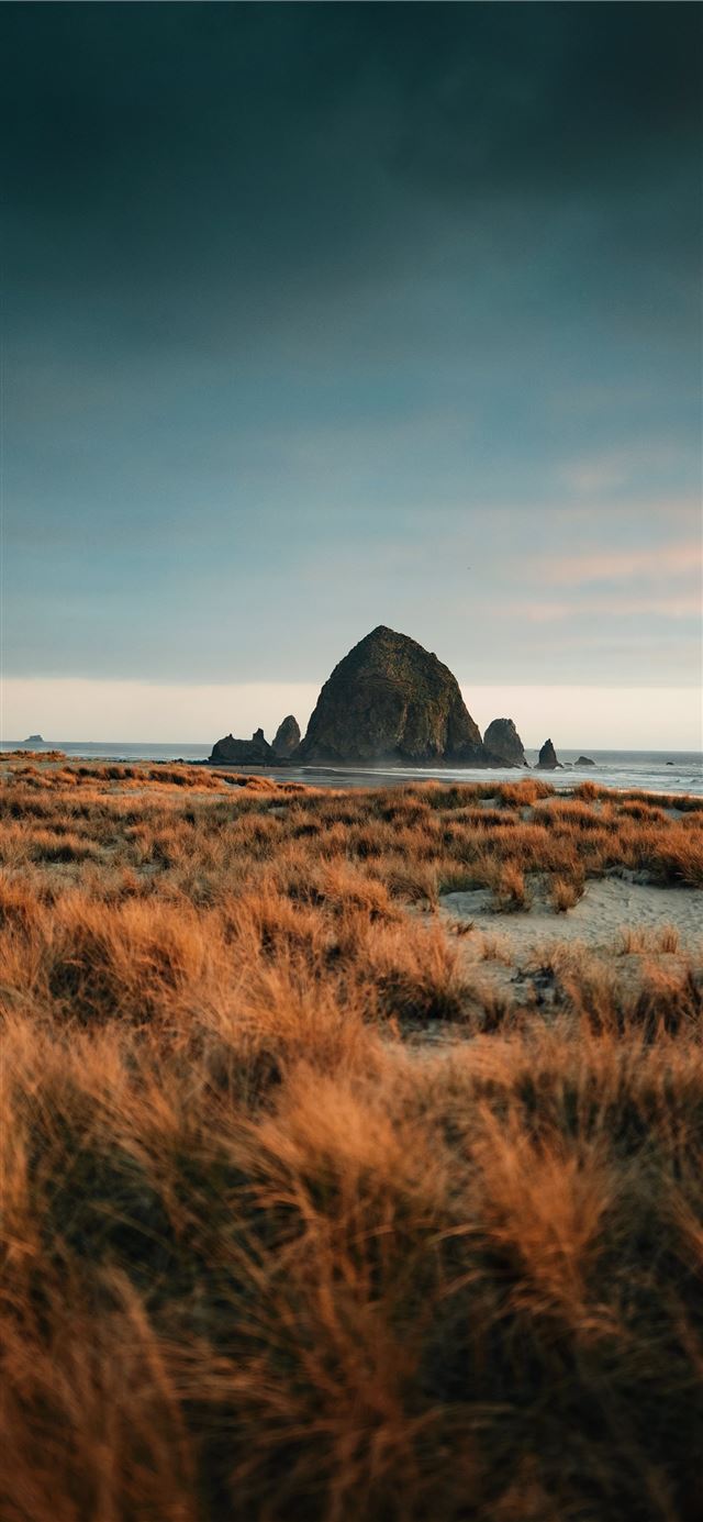 1125x2436 brown sand near body of water during daytime - scenery iPhone 11 Wallpaper