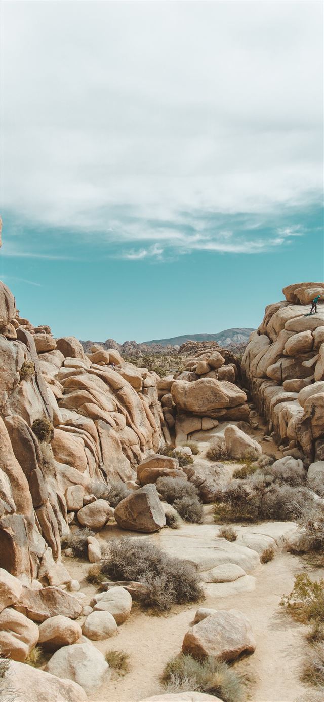 1125x2436 gray rocks under cloudy sky - joshua tree national park iPhone 11 Wallpaper