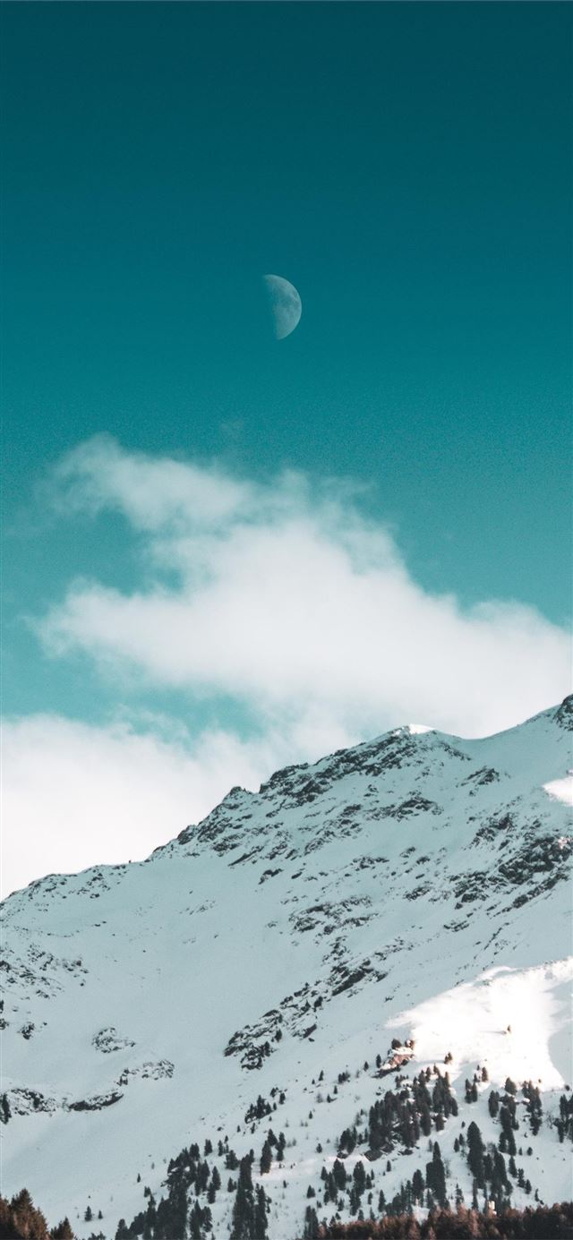 1125x2436 green trees on mountain - blue iPhone 11 Wallpaper