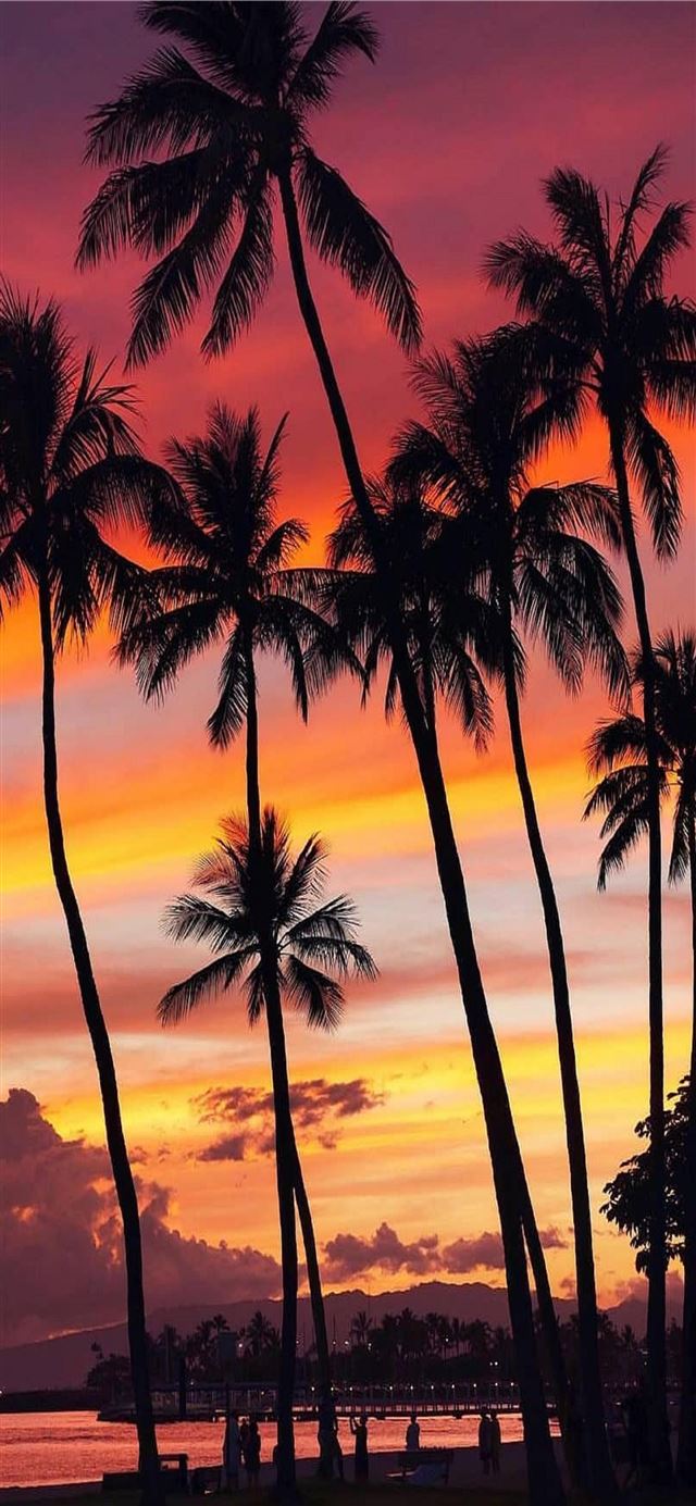 1125x2436 Paisagens - oahu hawaii iPhone 11 Wallpaper