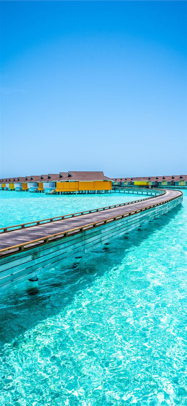 1125x2436 brown wooden dock on blue sea under blue sky durin... -  iPhone 11 Wallpaper