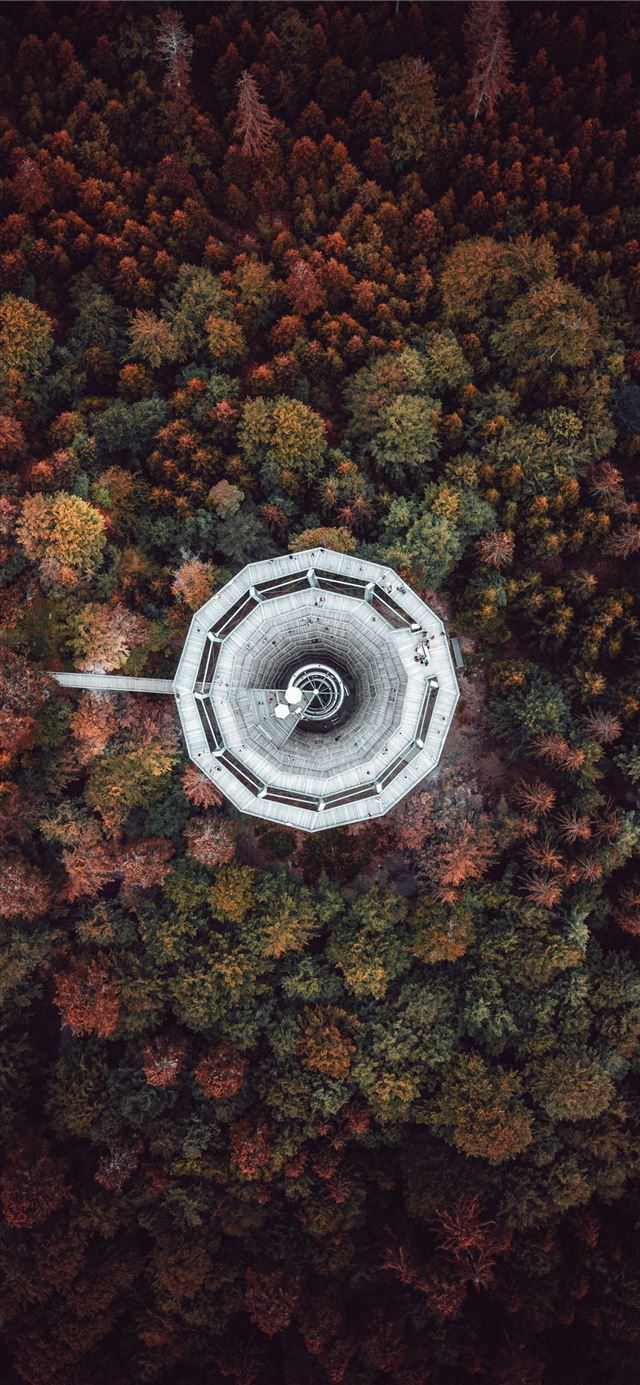 1125x2436 high angle photography of white textile - trees iPhone 11 Wallpaper