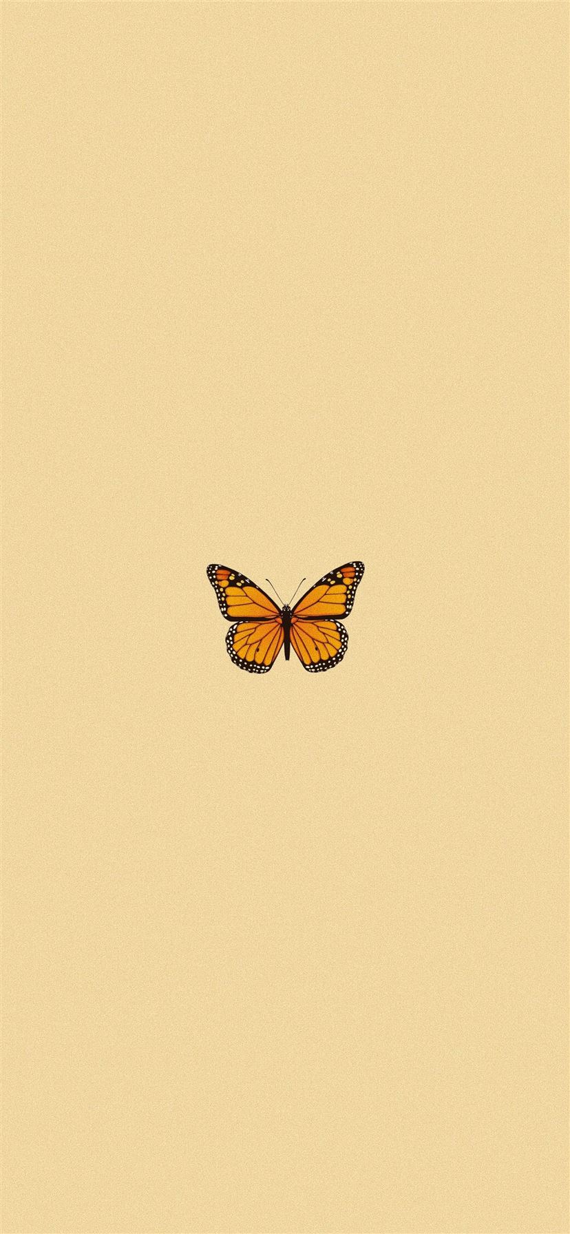Butterfly Iphone 11 Hd Wallpapers Ilikewallpaper