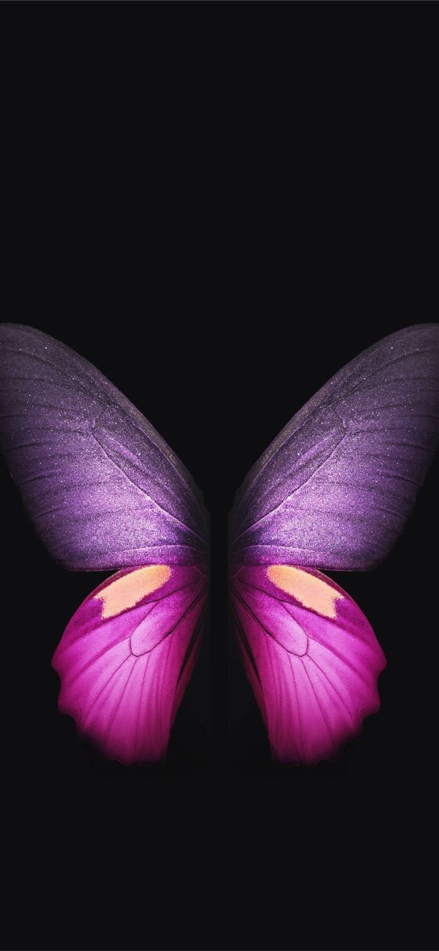 1125x2436 Samsung Galaxy Fold QHD Official - trends iPhone 11 Wallpaper