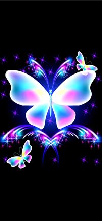 Butterfly wallpaper