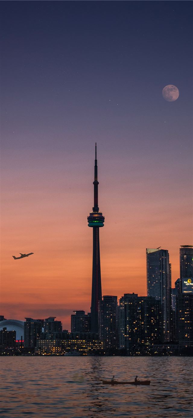 1125x2436 needle tower - bird iPhone 11 Wallpaper