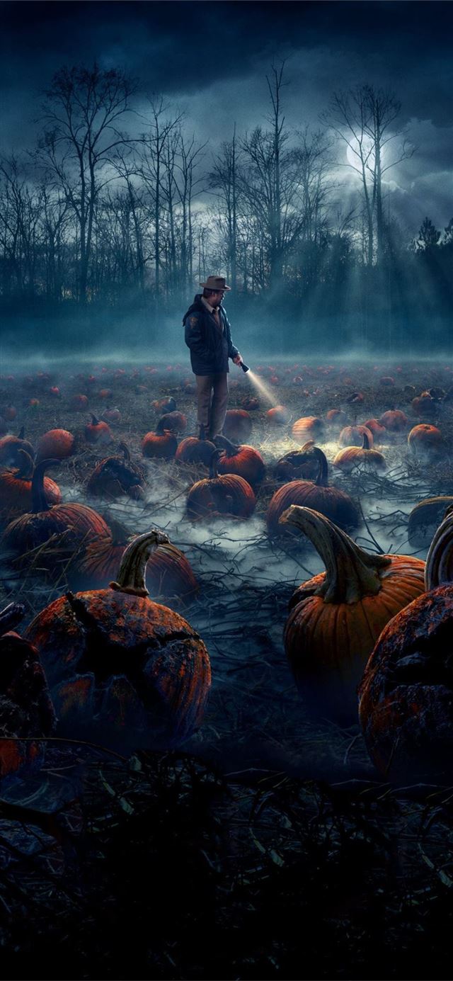 1125x2436 Stranger Things - wrigley field iPhone 11 Wallpaper