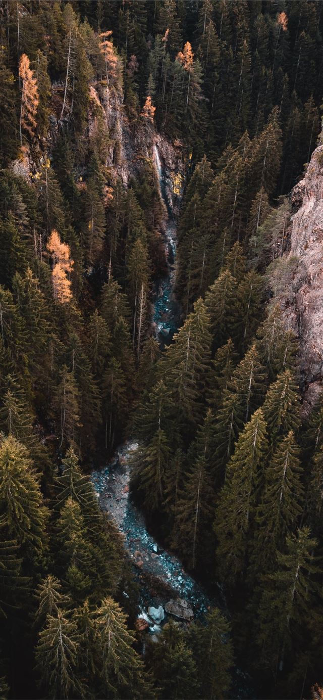 1125x2436 river traversing forest during daytime - trees iPhone 11 Wallpaper