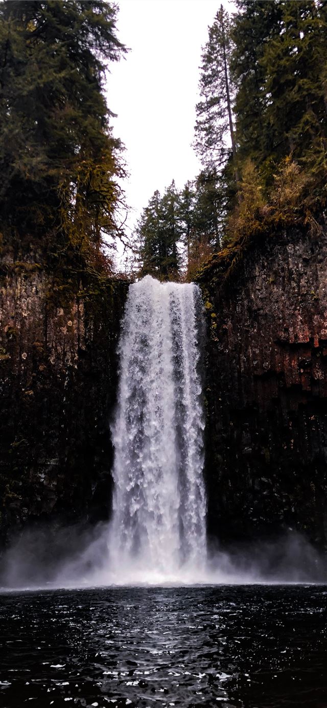 1125x2436 waterfalls in forest - waterfall iPhone 11 Wallpaper