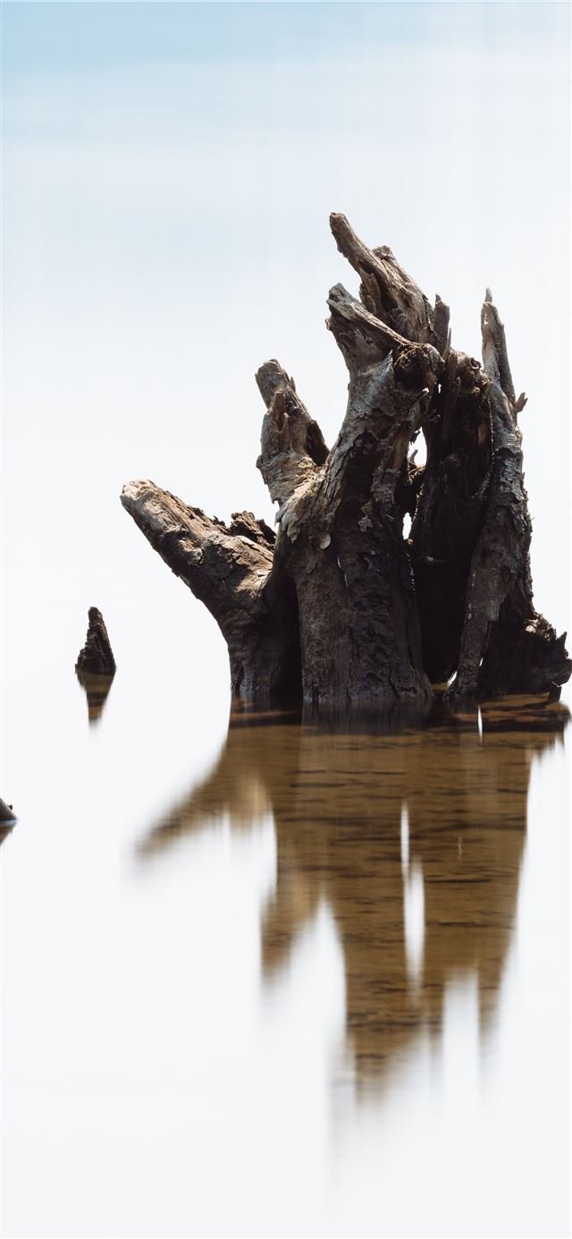1125x2436 brown wood log on bodt water - sky iPhone 11 Wallpaper