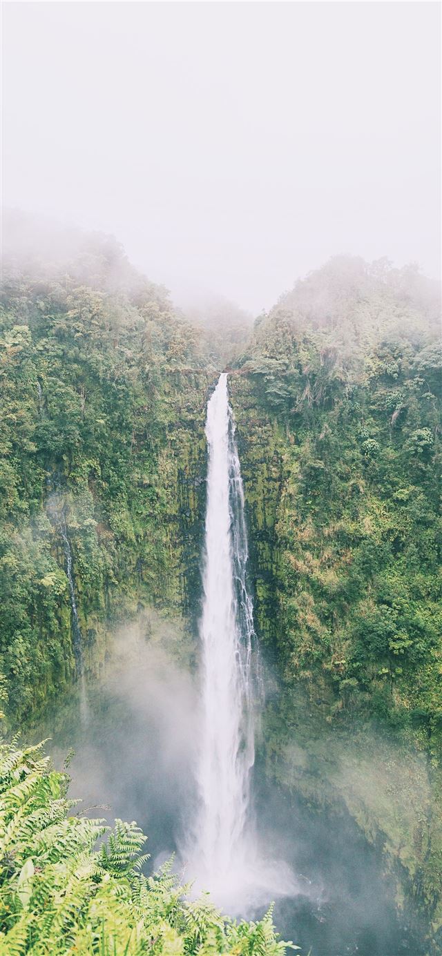 1125x2436 Foggy Akaka falls in Big island - fall iPhone 11 Wallpaper