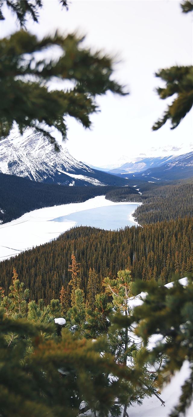1125x2436 lake between mountains with pine trees - mountain iPhone 11 Wallpaper