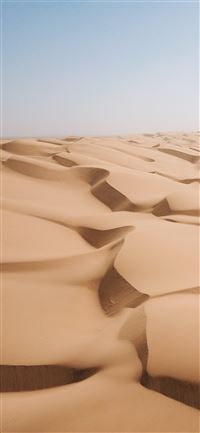 desert field iPhone 11 wallpaper
