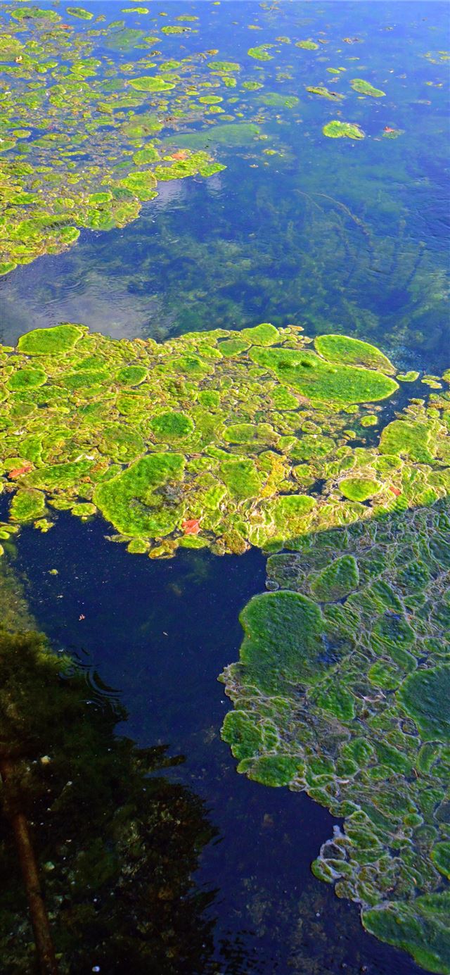 1125x2436 Lake District - lake district iPhone 11 Wallpaper
