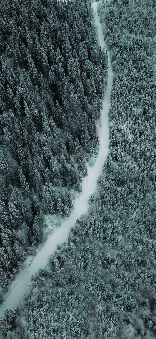 1125x2436 aerial photography of a pathway between trees - scenery iPhone 11 Wallpaper