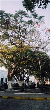 Ik Kil Cenote wallpaper