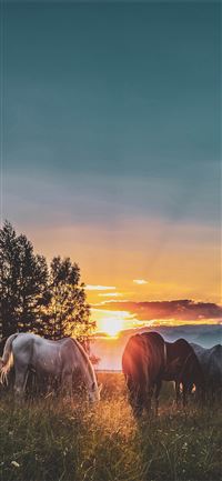 Faroe Islands wallpaper