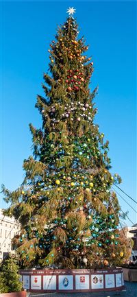 Freudenberg wallpaper