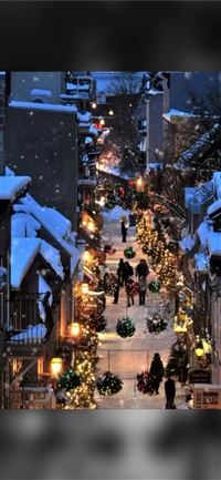 Freudenberg wallpaper