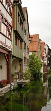 Freudenberg wallpaper