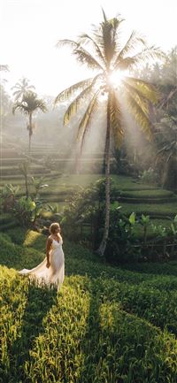 Rice Terraces of Vietnam wallpaper