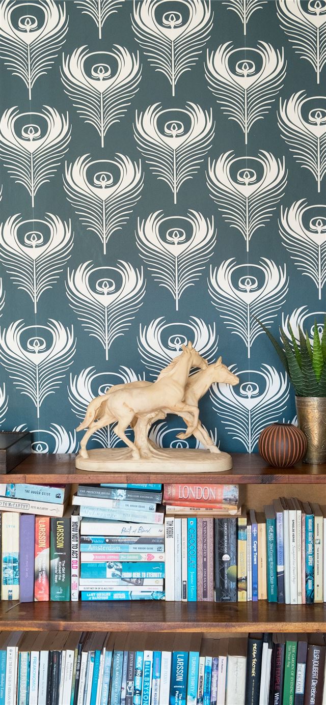 1125x2436 House Tour A Modern Renovation of a Cape Town Hous... - south africa iPhone 11 Wallpaper