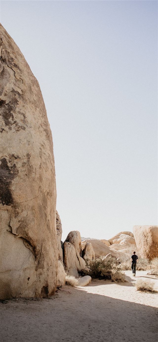 1125x2436 Mount Rushmore National Park - south dakota iPhone 11 Wallpaper