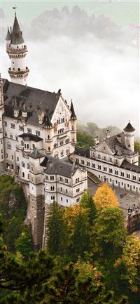 Neuschwanstein castle Back Net wallpaper