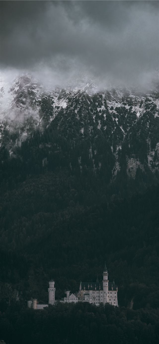 1125x2436 castle trees neuschwanstein castle - germany iPhone 11 Wallpaper