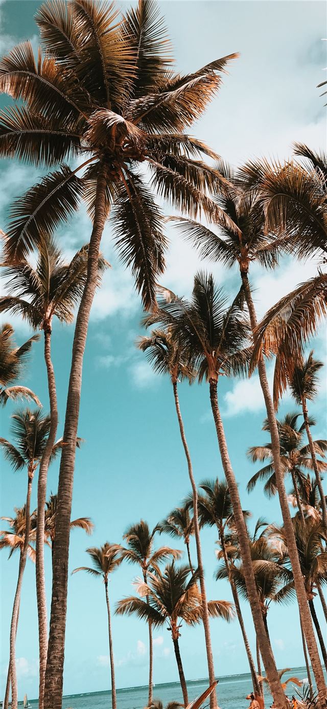 1125x2436 Dominican Republic -  iPhone 11 Wallpaper