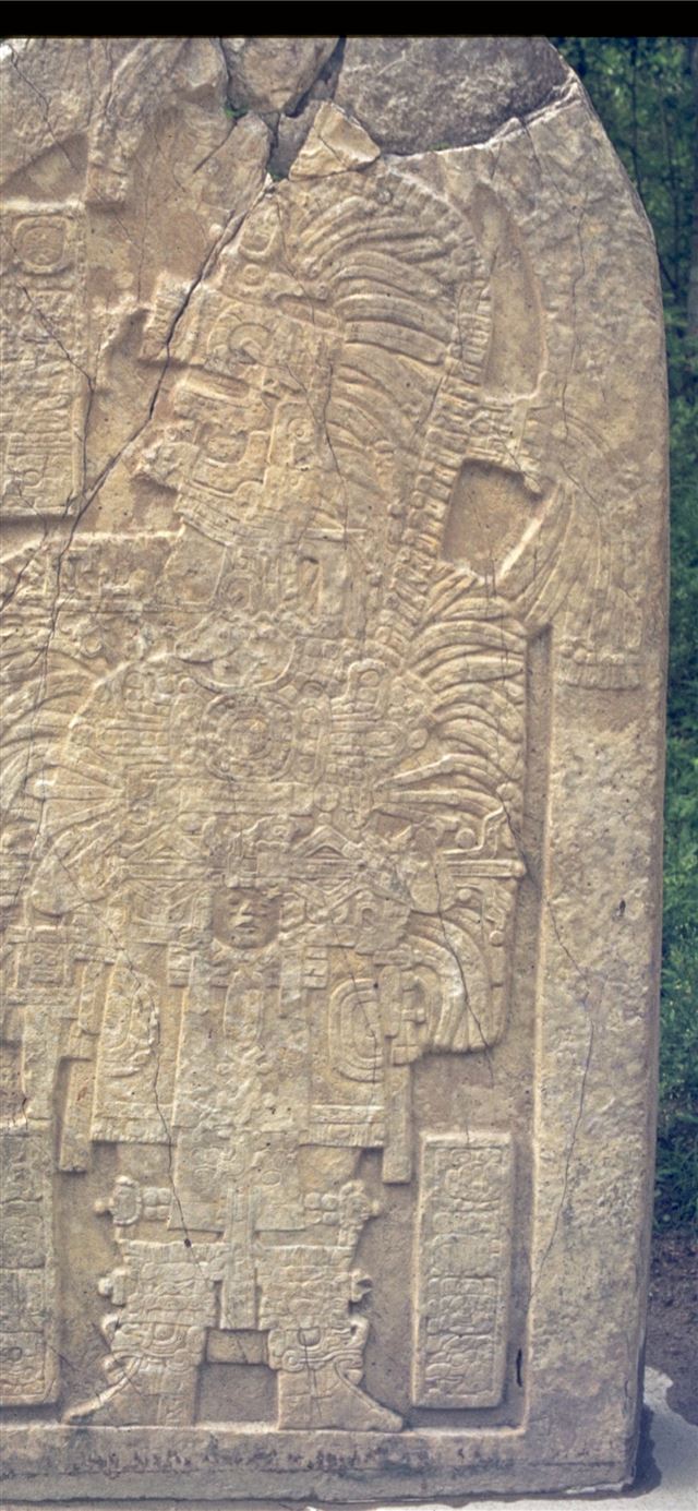 1125x2436 Photography tikal Stelae - northern guatemala iPhone 11 Wallpaper