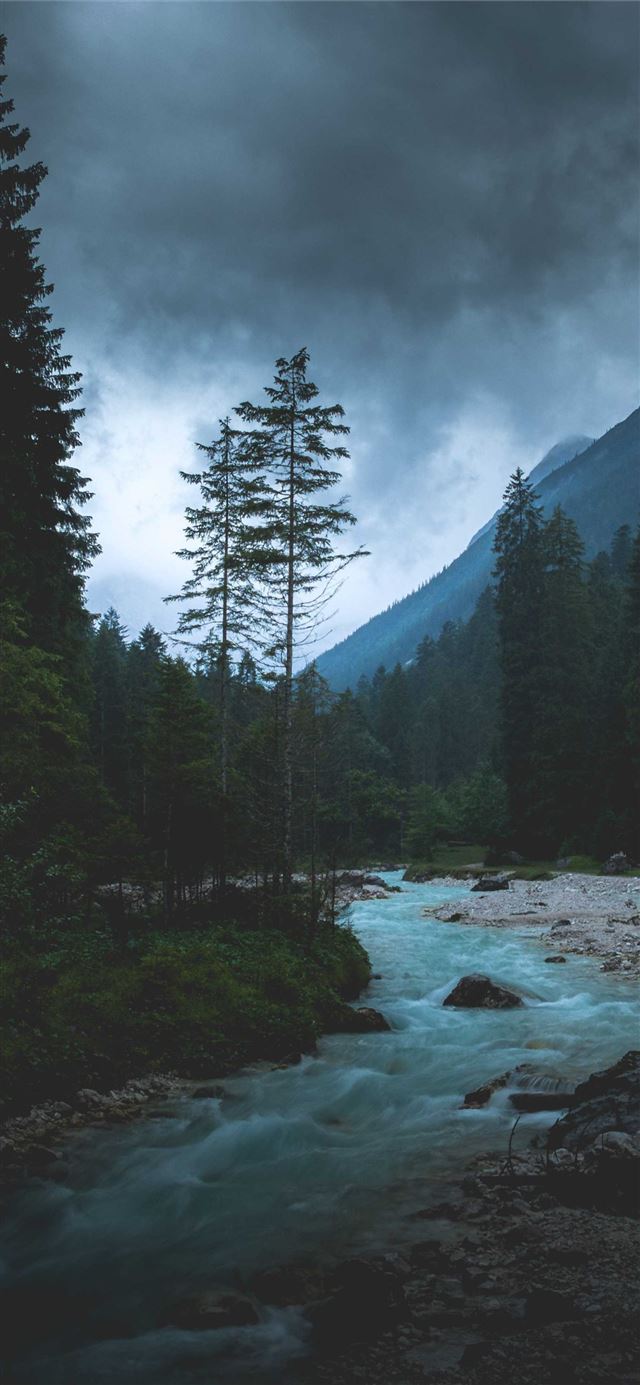 1125x2436 Stone Forest - china iPhone 11 Wallpaper
