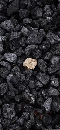 Giant's Causeway wallpaper