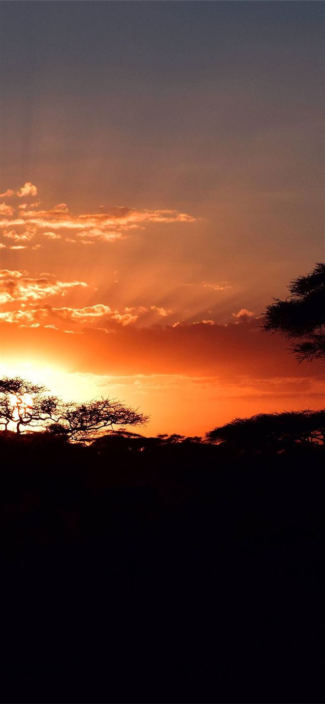 1125x2436 Serengeti - tanzania iPhone 11 Wallpaper