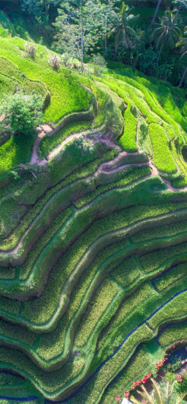 1125x2436 Bali - bali iPhone 11 Wallpaper