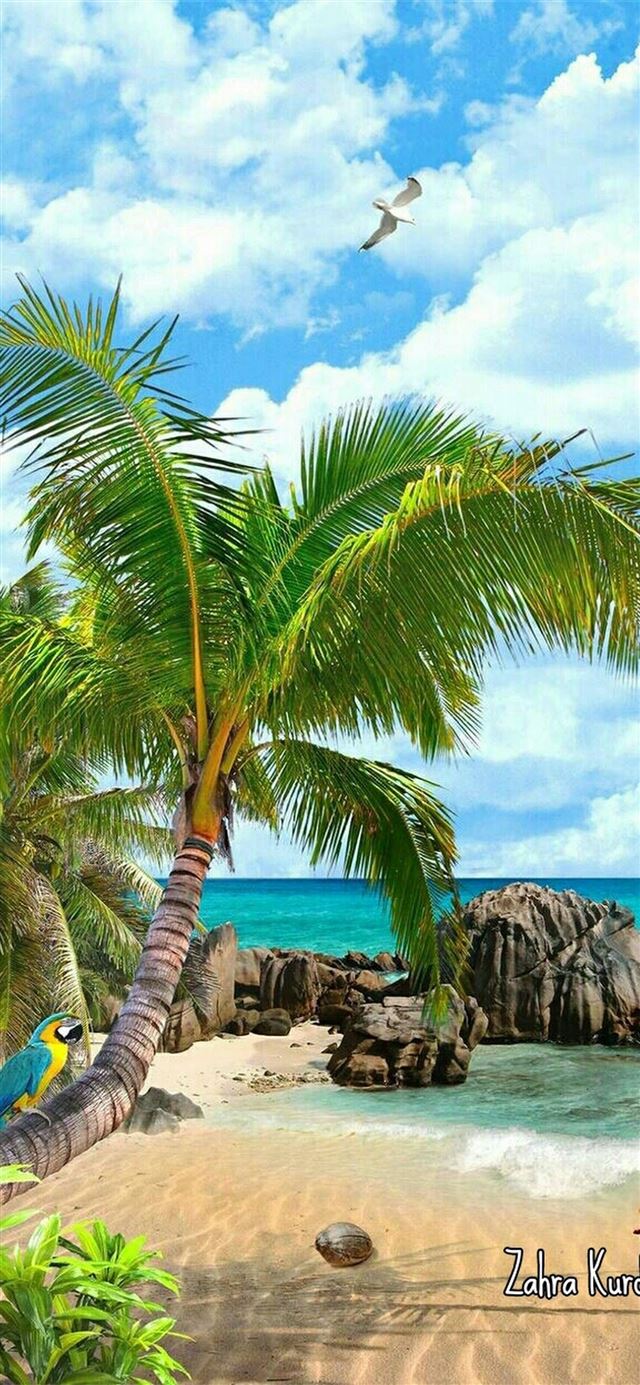 1125x2436 Galapagos Islands - galapagos islands iPhone 11 Wallpaper