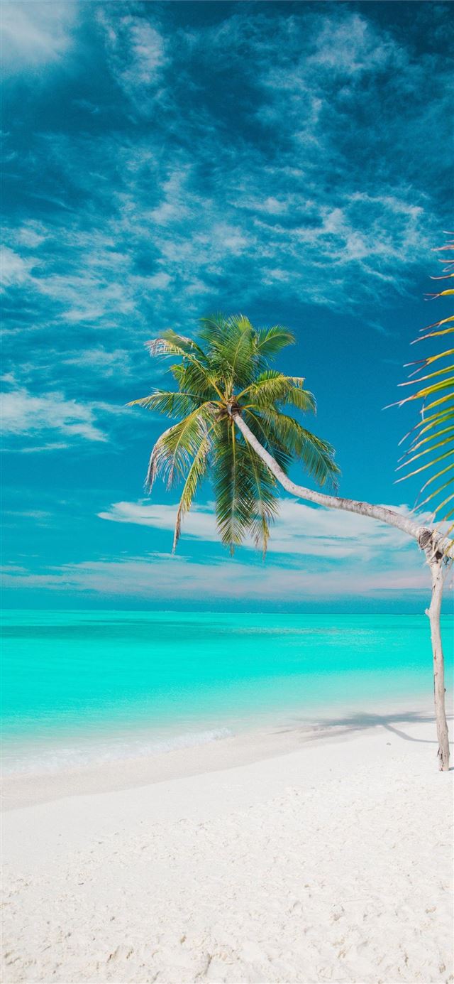 1125x2436 Galapagos Islands - galapagos islands iPhone 11 Wallpaper