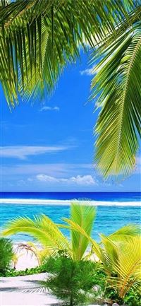 Galapagos Islands wallpaper