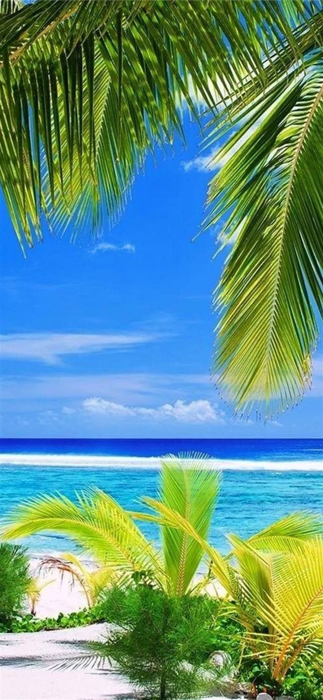 1125x2436 Galapagos Islands - galapagos islands iPhone 11 Wallpaper