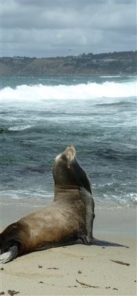 Galapagos Islands wallpaper