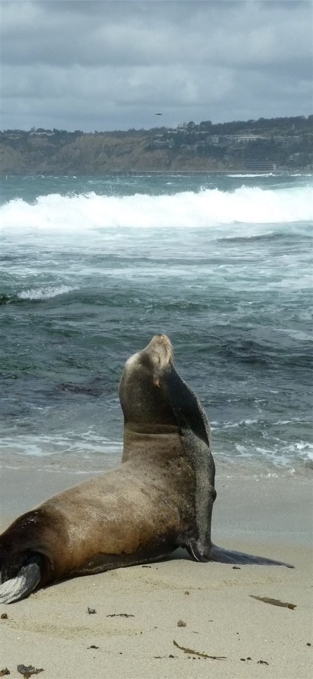 1125x2436 Galapagos Islands - galapagos islands iPhone 11 Wallpaper