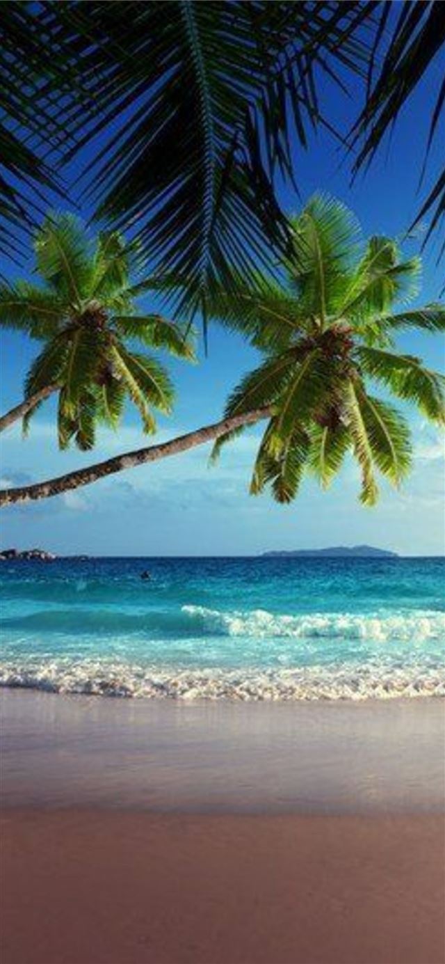 1125x2436 Galapagos Islands - galapagos islands iPhone 11 Wallpaper