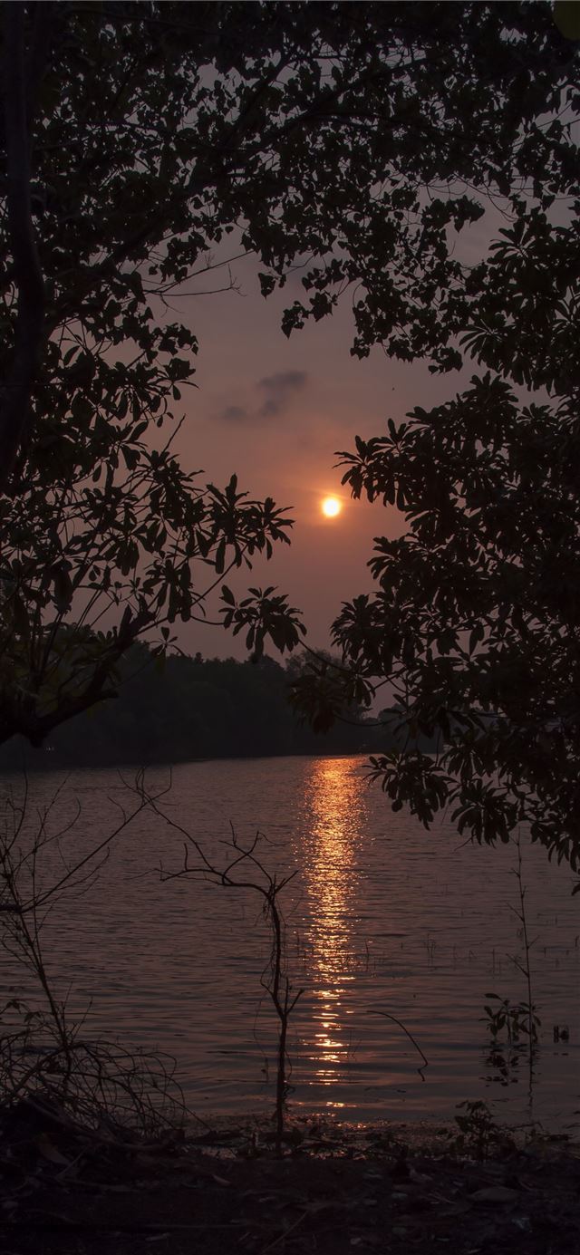 1125x2436 Kerala Backwaters Houseboat Experience at Alappuzh... - kerala iPhone 11 Wallpaper