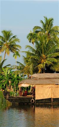 16 Resort Clipart kerala coconut tree Free Clip Ar... wallpaper