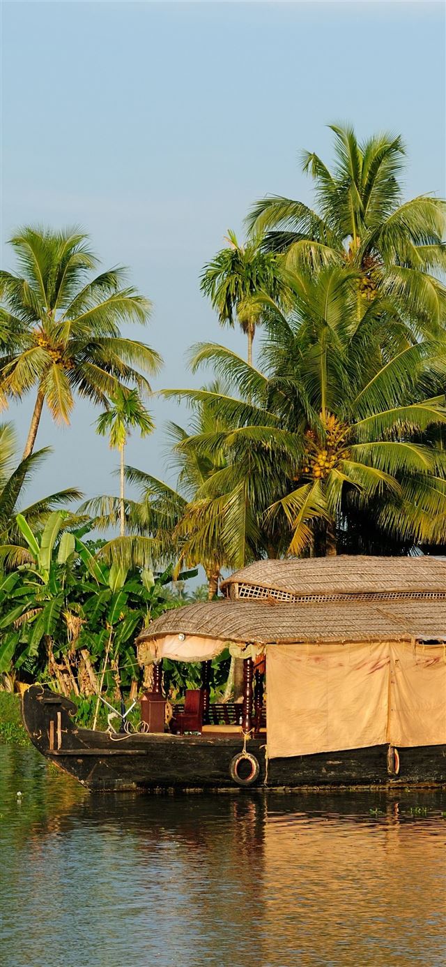 1125x2436 16 Resort Clipart kerala coconut tree Free Clip Ar... - india iPhone 11 Wallpaper