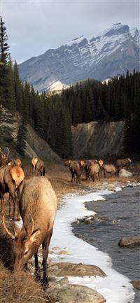 Victoria Falls wallpaper